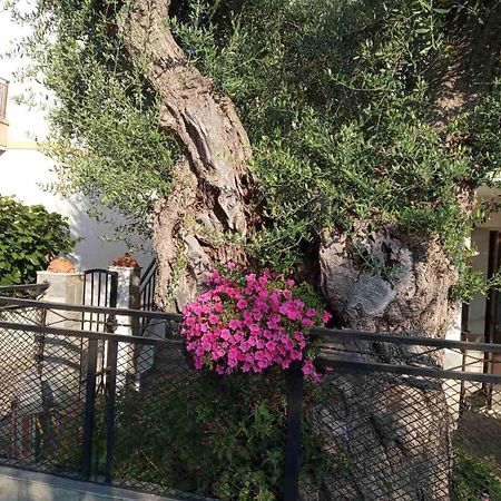 Aegean Balcony Skala Kallirachis Exterior foto